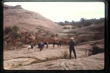 Slickrock Trail west of Nasja Creek