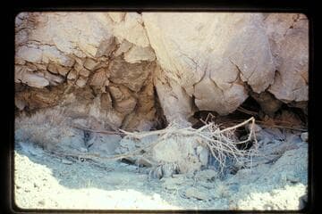 Catacombs, Mile 209.2