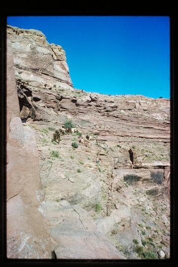 Stock on Horsethief Trail