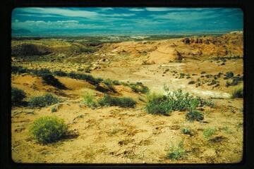 Head of Roost Canyon from rim