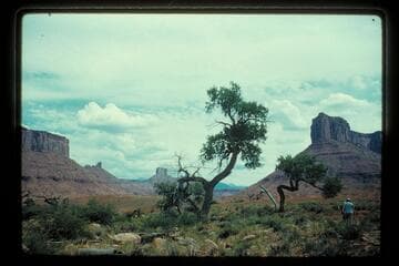 Camp site below George White's ranch