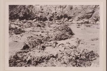 Head of Lava Falls at height of flood.  Photo from Lint album.  USGS party