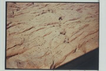Down the drainage of side canyon at Mile 73.6 from north of Butte 6069 Rainbow.  The middle fork passes diagonally from lower right to top margin left of center.  South fork cuts across upper left hand corner