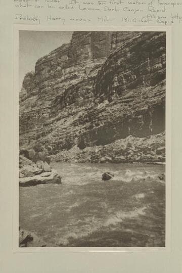 Harry Aleson in outboard boat "Up Lake" running up alongside rapid a mile below Dark Canyon Rapid in Cataract Canyon