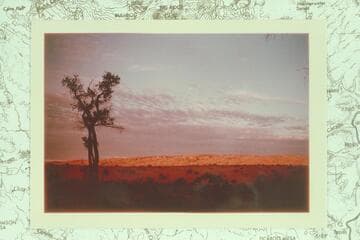 Waterpocket Fold from southern end of Hall Mesa