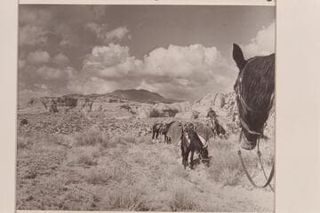 On the trail into Navajo Canyon