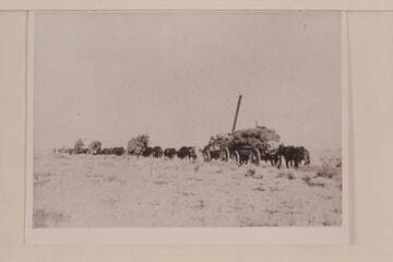 Wagons hauling supplies to Lees Ferry from Flagstaff for Charles H. Spencer