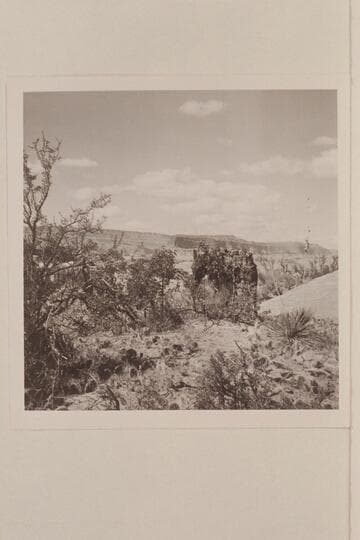 50 Mile Mountain and 60 Mile Point from base camp at foot of black brush mesa