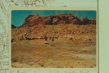 Petrified wood in Circle Cliffs area