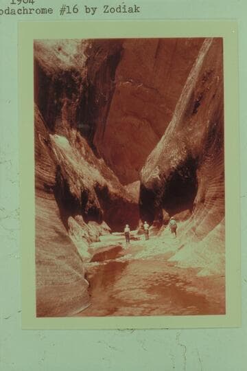 Louise, Bernice and Sam, Hall Creek Canyon in the Waterpocket Fold