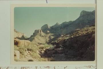 Redwall gap up Gunther