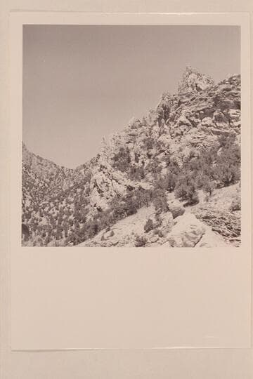 Up-ended strata at head of Whirlpool Canyon on the left bank; Mile 223