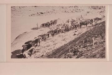Chas. Spencer's ox teams at the San Juan River