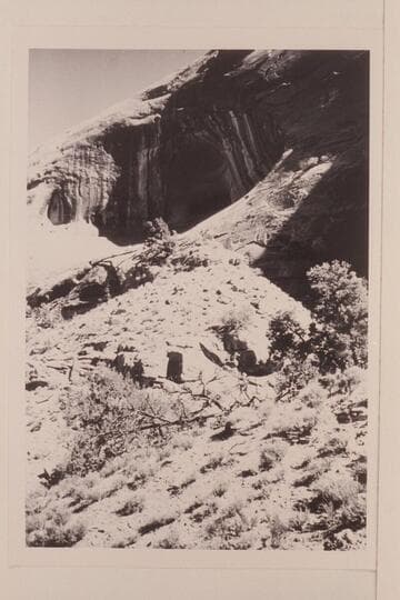 Cave in Bald Rock Creek