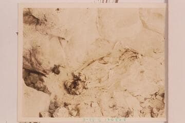 Skeleton above Paradise Canyon in Marble Canyon