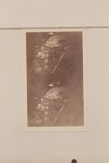 Lewis R. Freeman.  Exhibit of his copious build