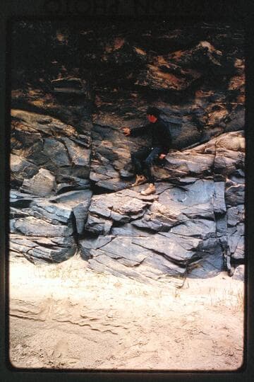 Buzz at Denis Julien inscription