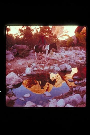 Dan at waterhole in Nasja Creek