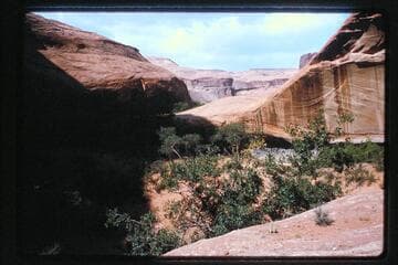 Down Forgotten Canyon