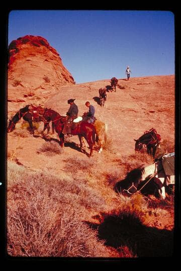 Down from saddle into Nasja Creek