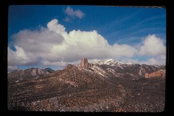 Tog of sleeping ute [?]