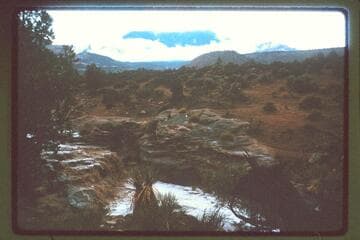 Navajo Mountain from Trail Canyon