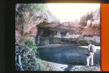 Pool in tributary of Halls Creek below Baker's Ranch (Spring)