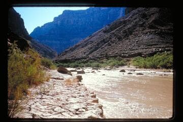 Up into Little Colorado in flood