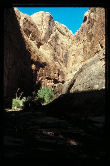 At junction with south fork, 73