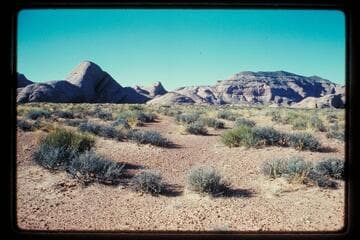 5014 from Moepitz Airfield