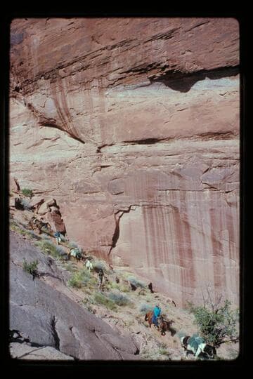 Trail in a joint east of Moepitz Airfield