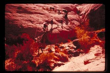 Trail out of basin north of 5014