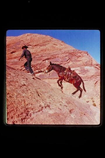 Baker on trail out from Moepitz Airfield