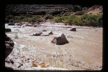 Lagoon of Little Colorado in flood