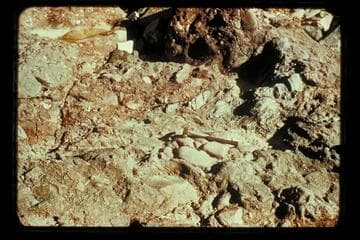 Archean Hotauta, below Hance