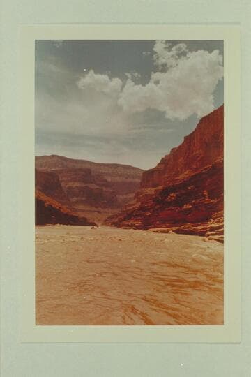 Cruising in Conquistador Aisle