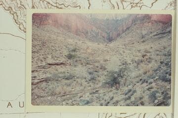 Up Pipe Spring Canyon.  Cabin at right.  Camp was at overhang at left