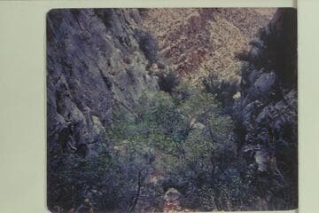 Through the Redwall on Boucher Trail