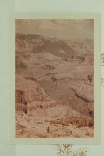 East from near Wheeler Point