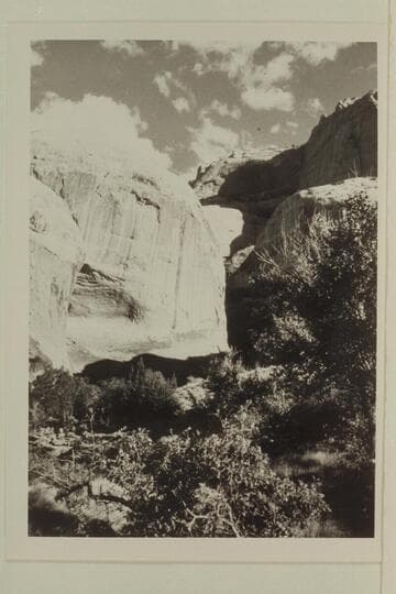 Head of middle fork of 73.6.  Anasazi Canyon