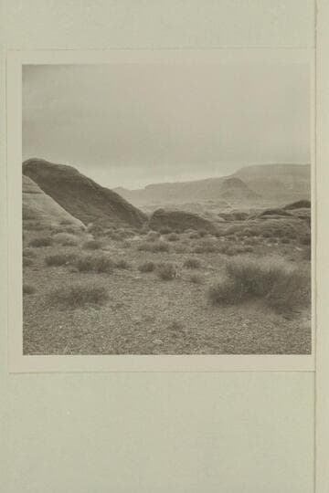 Northwest toward 50 Mile Mountain from top of small plateau on trail between the middle fork and the southwest fork of 73.6.  Joins 500 GNCN 73.51.8