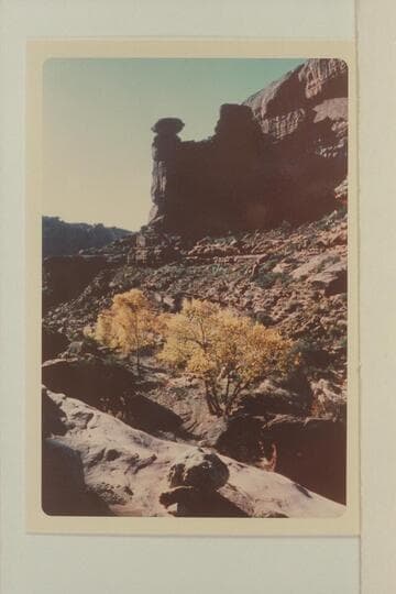 Jumpup Spring.  10 AM