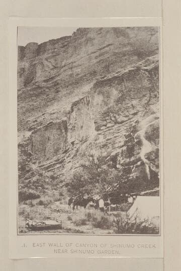 Bass Camp in Shinumo Creek