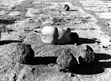 Nature Self-Portrait #2