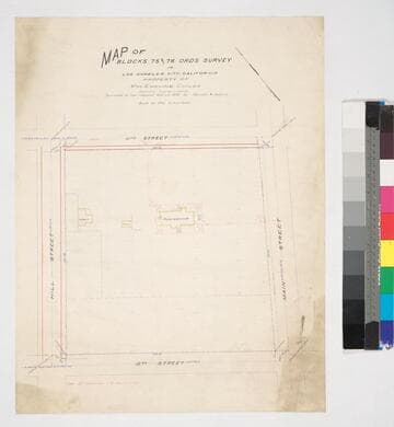 Map of Blocks 75 and 76 Ord's Survey