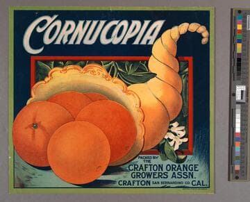 Cornucopia brand