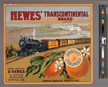 Hewes' Transcontinental Brand