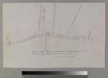 Buena Vista Street established by Resolution No. 291