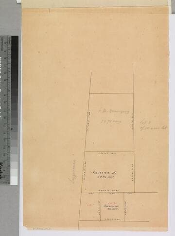 Rancho San Pedro : S73 (partition of 1884-1885, report of referees) - Susana Domínguez parcels