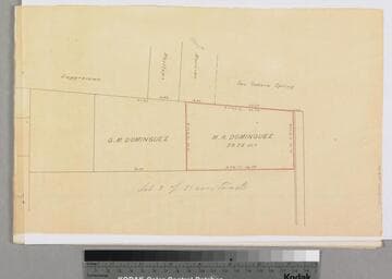 Rancho San Pedro : S73 (partition of 1884-1885, report of referees) - Reyes Domínguez parcels